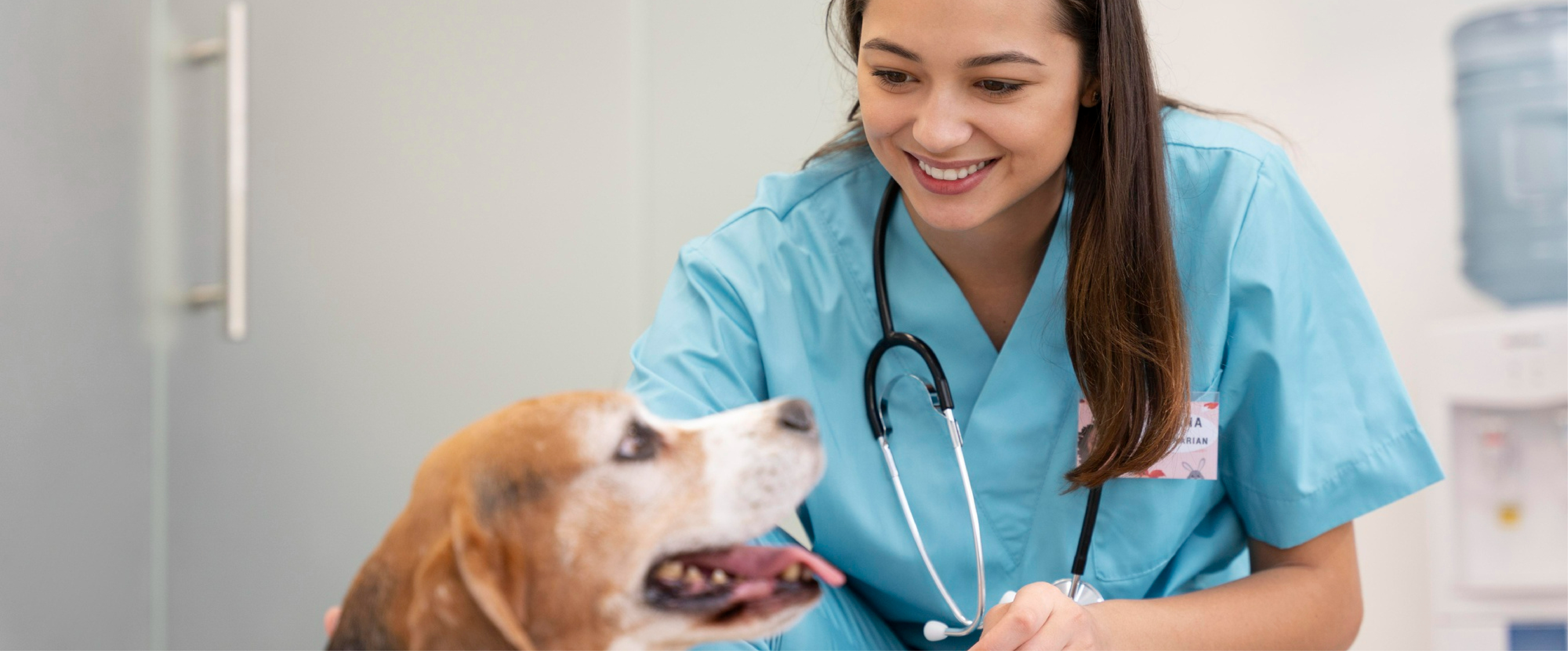 Diplomado en Asistencia Veterinaria